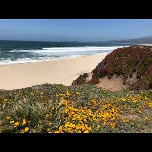 Meet your Posher, Silvia